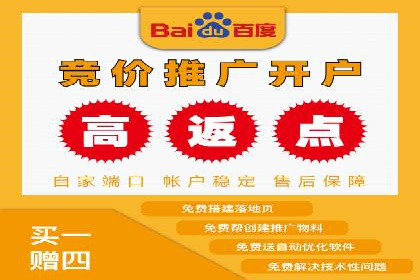 百度竞价排名服务：实战案例解析与优化技巧